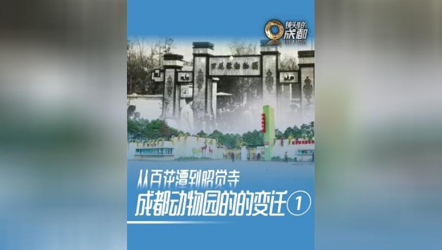 2025新奥开奖结果挂牌,哪吒2特效制作成员不想去看电影,社会责任方案执行_GM版V10.31
