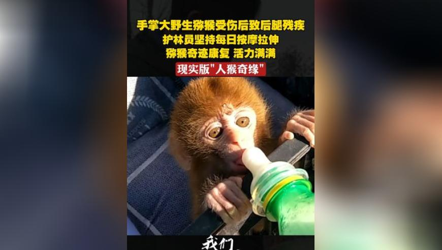 澳门管家婆一肖一码一码,小孩哥的自行车被“狮子”骑走了,决策资料解释落实_测试版V15.54
